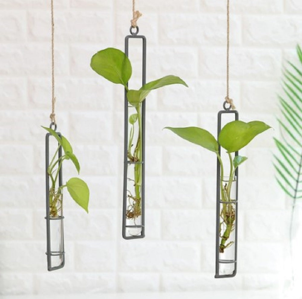 3pcs Nordic Decoration Home Flower Wall Vase Flower Test Tube Vases Clear Glass Container Wall Hanging Air Plant Flower Bottle Vase