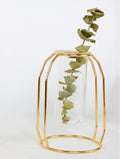 Nordic Gold Geometric Hydroponic Vase - Modern Metal Plant Holder with Glass Tube