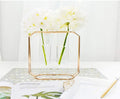Double Tube Nordic Gold Geometric Vase - Modern Hydroponic Flower Holder
