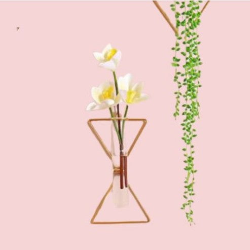 Home Decor Wall Decoration Iron Hanging Flower Vases Hydroponic Plants Container Wedding Decoration