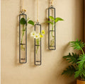 3pcs Nordic Decoration Home Flower Wall Vase Flower Test Tube Vases Clear Glass Container Wall Hanging Air Plant Flower Bottle Vase