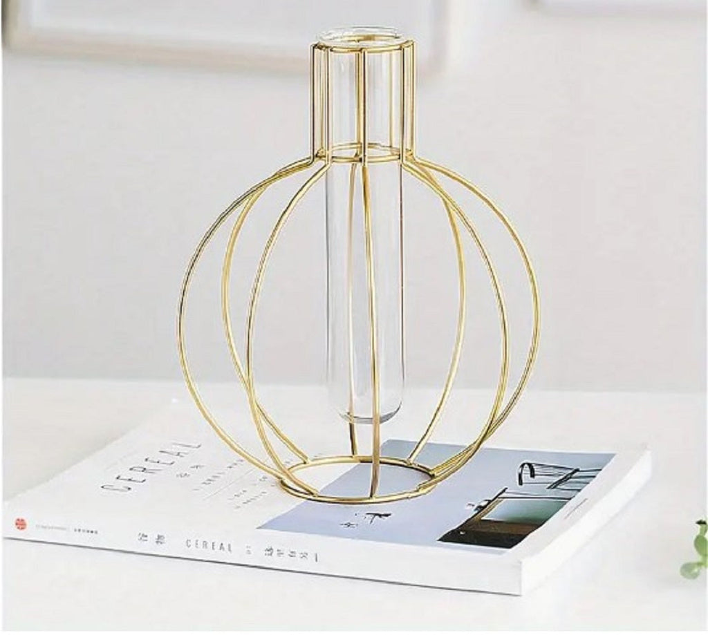 Round Wire Flower Vase – Elegant Nordic Tabletop Globe Planter with Glass Test Tube